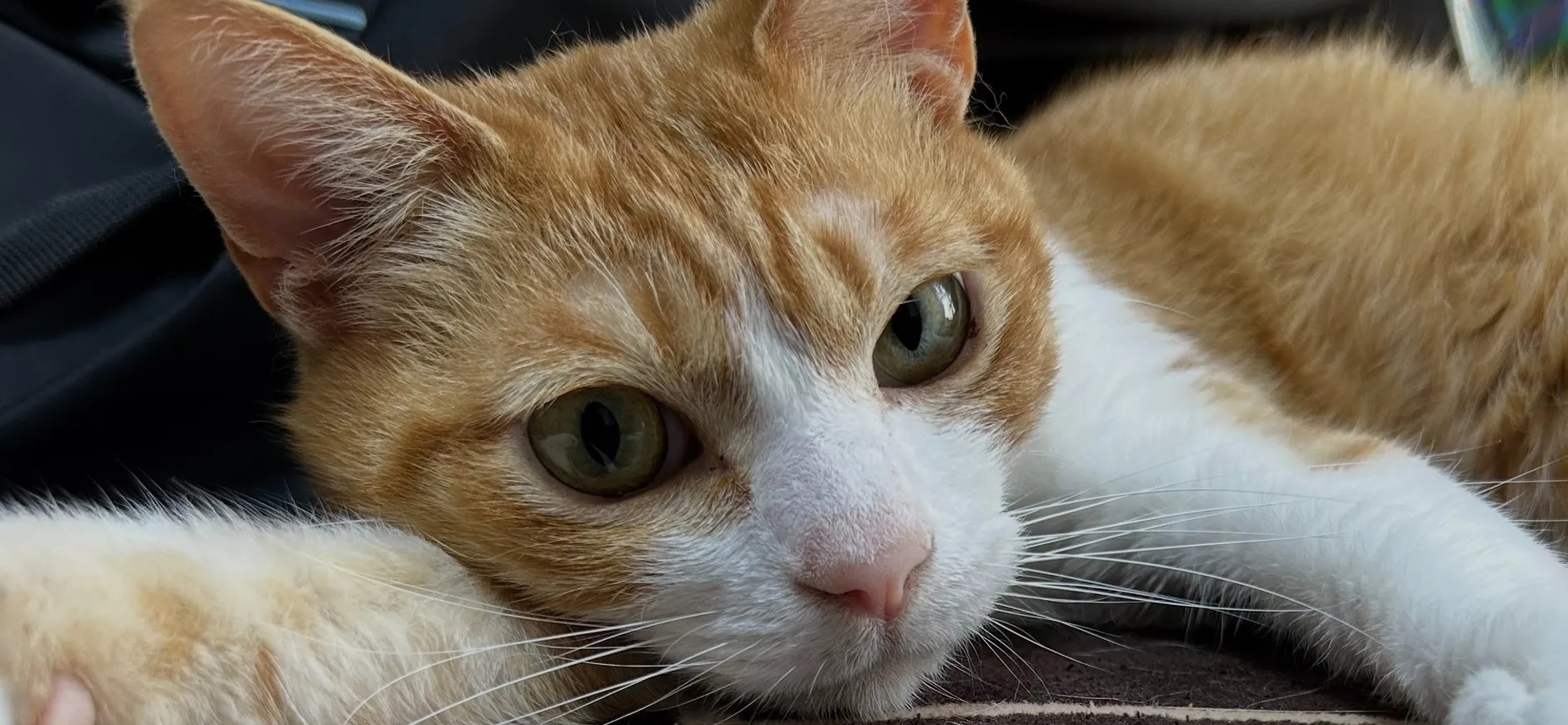 総務部　あっちゃん　34歳